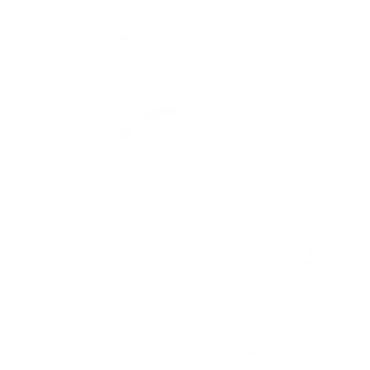 Pressverket Logo